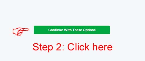 Click Continue With These Options - GoDaddy GoDaddy Coupon Codes for Shared Hosting