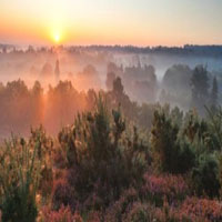 2 Night Surrey Break | Greatlittlebreaks.com