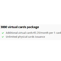 3000 Virtual Cards Package : Business.wallester