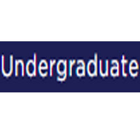 Academic Level Undergraduate Essay | Wowessays.com