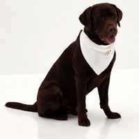Adalira Bandana Bib | Lovebonito.com Adalira Bandana Bib | Lovebonito.com