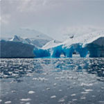 Antarctica Classic 11 Days Tour | Gadventures.com