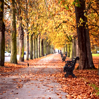 Autumn In London Packages | Montcalmcollection