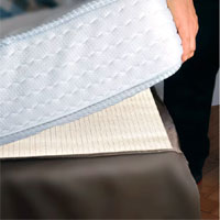 Bedbug Arthropad | Carolwright.com