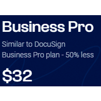 Business Pro Plan - Blueink