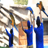 Emirates Park Zoo Tickets | Raynatours.com