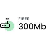 Fiber 300 MB Data | Finetwork.com