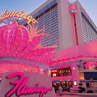 Flamingo Las Vegas Booking | Caesars.com