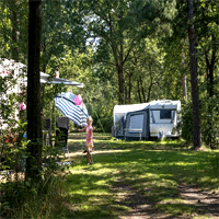 Forest Place Camping - Devossenburcht.nl
