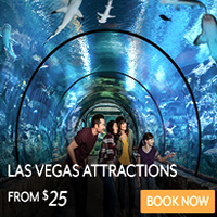 Las Vegas Attraction Event Ticket | Vegas