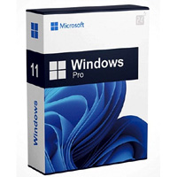 Microsoft Windows 11 Pro License : Licentiepromo