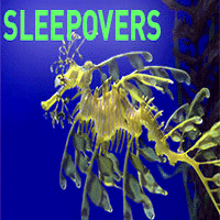 Overnight Reef Adventure Ticket | Ripleys