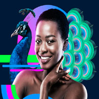 Pro 2023 Ultimate Photo Editing Software - Paintshoppro