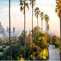 Reserve Munich To Los Angeles Flight - Aerlingus