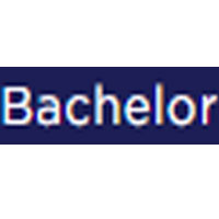 Academic Level Bachelor Essay : Wowessays