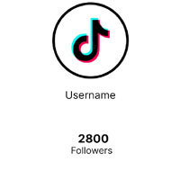 Buy Tiktok Followers : Mediamister.com
