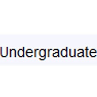 Undergraduate 20 Days Essay - SpeedyPaper