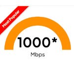 1000 MBPS Speeeee Diest - BeeBu