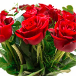 12 Luxury Red Roses - Chelseaflorals.co.uk