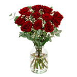 12 Red Roses : Interrose.co.uk