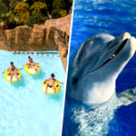 2-Day 2-Park Ticket | Tickets-mallorca.marineland.es