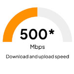 500 MBS Speeeee Dier | BeeBu