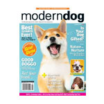 Best Summer Ever Magazine