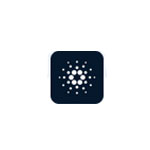 Cardano Crypto Strategy