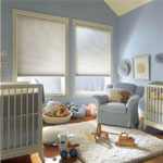 Cellular Shades Nightfall