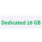 Dedicated 16 GB Server