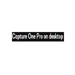 Desktop Perpetual License