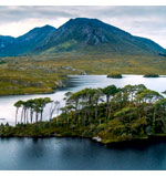 Essence of the Emerald Isle | Exoticca