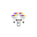 Flood Light Bulbs