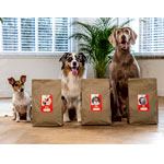 High Quality Customized Nutrition Dogs - Just Russel