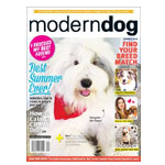 How To Calm A Crazy Dog Magazine