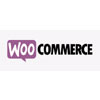 Starter Managed Woo Commerce Hosting