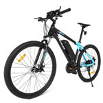 Mountain E-Bike