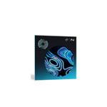 Ozone 11 Advanced