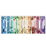 Pastel Rainbow Board Books
