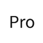 Perpetual License Pro