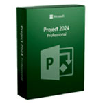 Project Professional 2024 | Mr Key Shop