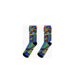 Rainbow Bird Socks