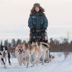 Self-Drive Dog Sledding Safari From Kiruna - Manawa Self-Drive Dog Sledding Safari From Kiruna - Manawa