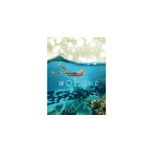 Series Wonder Canvas Print