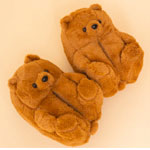 Slippers My Teddy Bear - POP Underwear