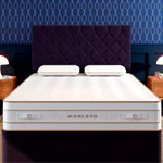 Sonlevo 700 XL : MemoryFoamWarehouse 