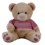 Teddy Bear Teddy Bear | Se.bazta.com
