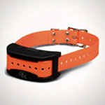 Train Add-A-Dog Collar : Sportdog.com