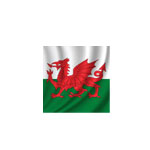 Welsh For Beginners Diploma Course