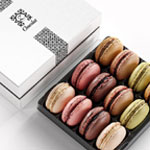 ZBOX 12 Signature 12 Pcs : zChocolat